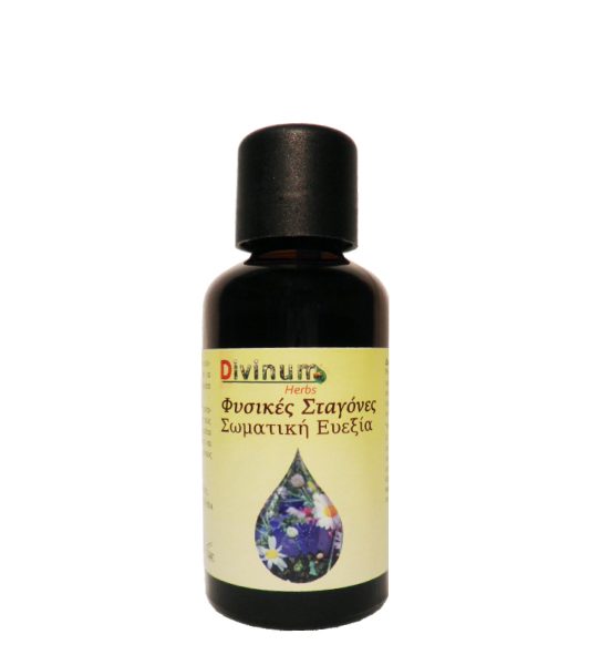 Herbal physical well-being tincture