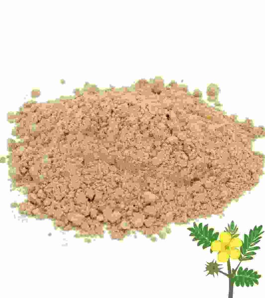 Tribulus powder