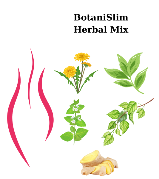 Μίγμα Βοτάνων BotaniSlim